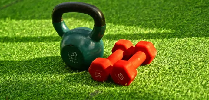 a kettle and two red dumbs on a green field